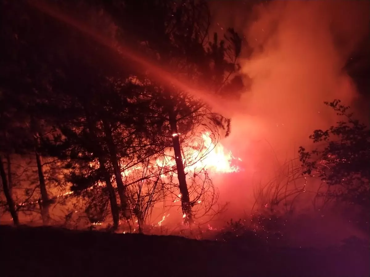 Mudurnu'da Tarım Arazisinde Yangın Kontrol Altına Alındı