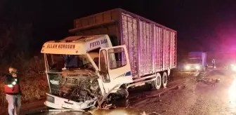 Mudurnu'da Yolda Geyik Kazası: 1 Ölü, 1 Yaralı