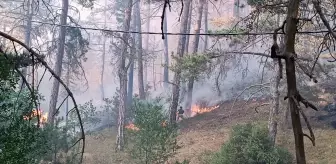 Mudurnu'da Orman Yangını: Havadan ve Karadan Mücadele Başlatıldı