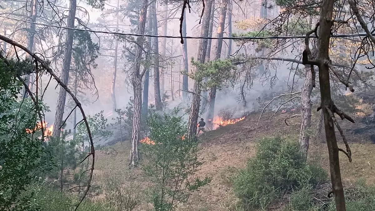 Mudurnu'da Orman Yangını: Havadan ve Karadan Mücadele Başlatıldı
