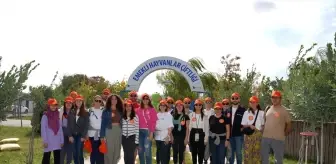 Borusanlılar'dan Sokak Hayvanlarına Destek Projesi