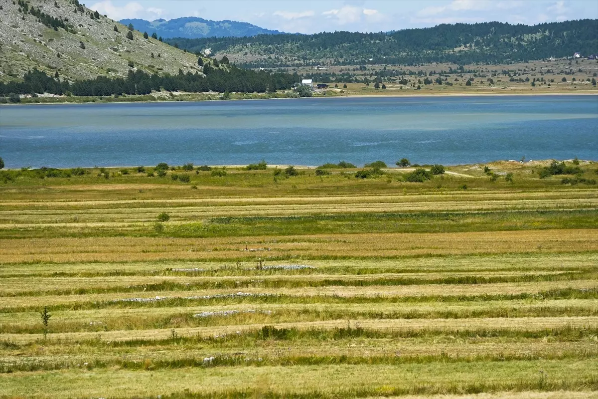 Bosna Hersek'in Saklı Güzellikleri: Blidinje Doğa Parkı ve Dreznica Nehri