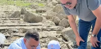 Boyabat'ta 158 Bin Yavru Sazan Balığı Salındı