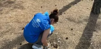 Boyabat'ta Gençlerden Çevre Temizliği Etkinliği