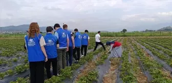 Boyabat'ta Gençler İçin Tarımda Girişimcilik Programı Düzenlendi