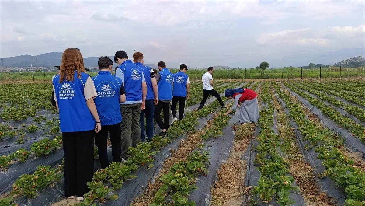 Boyabat'ta Gençler İçin Tarımda Girişimcilik Programı Düzenlendi