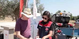 Çanakkale İl Tarım Müdürü Bozcaada'da Üreticilerle Bir Araya Geldi