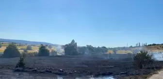 Bilecik'te Anız Yangını Kontrol Altına Alındı