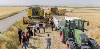 Kaymakam Koşansu, Buğday Hasadına Katıldı