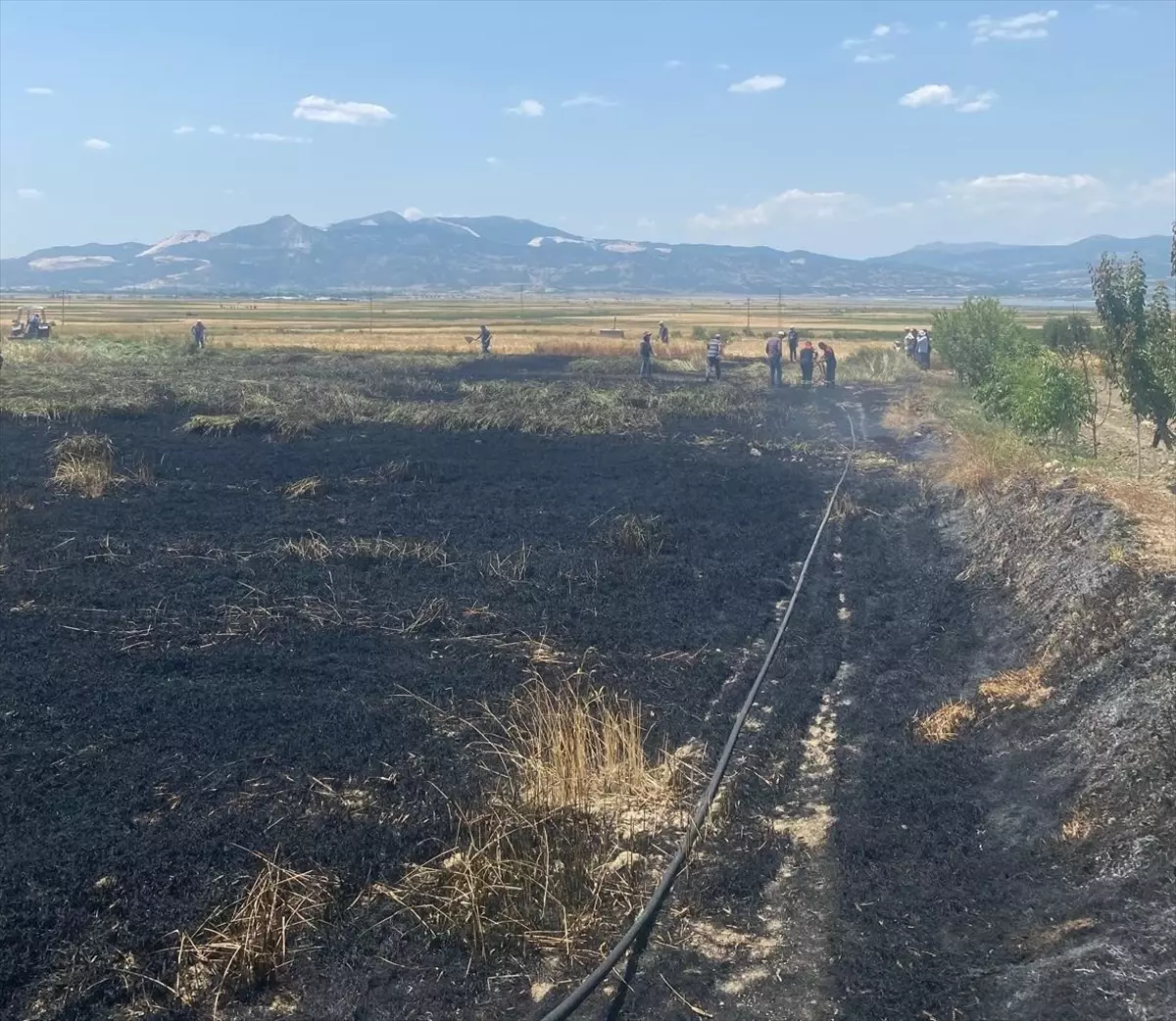 Burdur'da Yangın: Buğday Ekili 3 Dekar Arazi Zarar Gördü