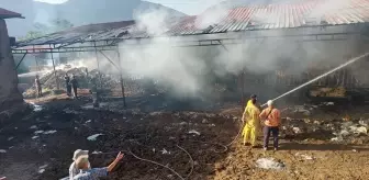 Yeşilova'da Yangın: 2 İnek ve 2 Buzağı Telef Oldu