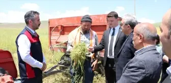 Burdur'da Az Su Tüketen Yem Bitkisi Hasat Edildi