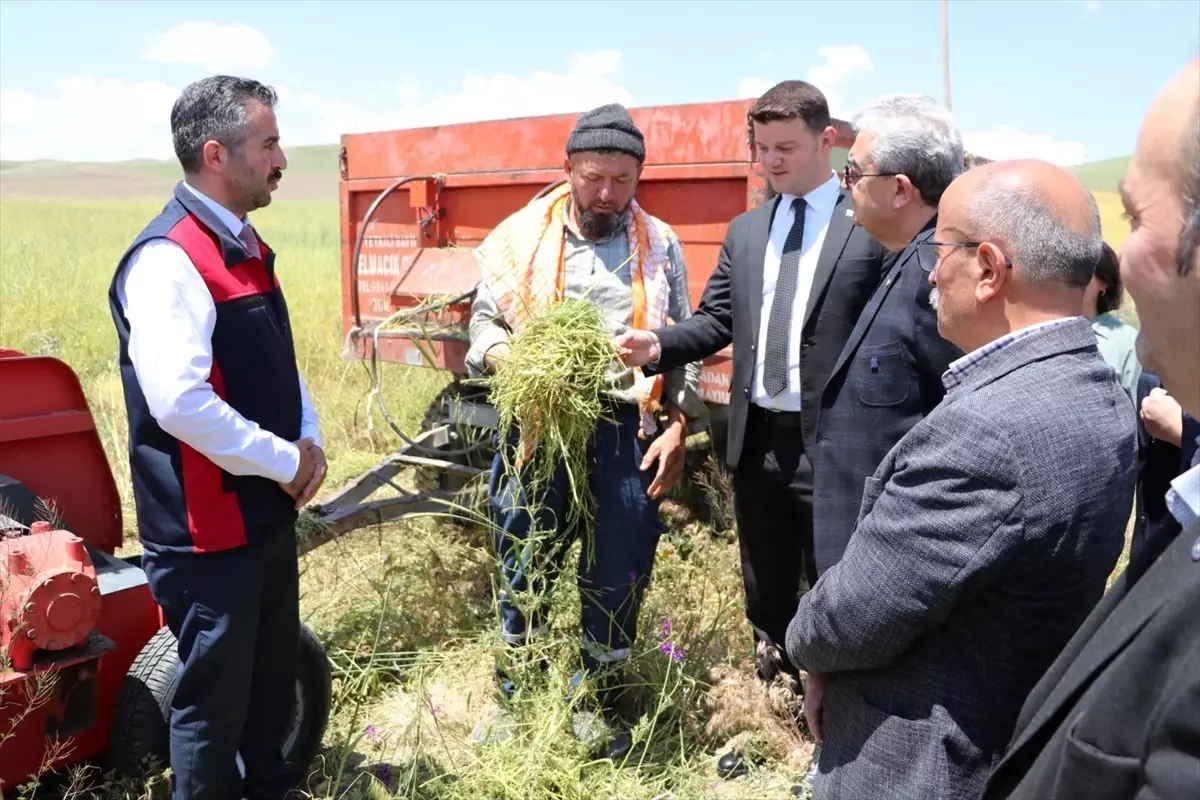 Burdur'da Az Su Tüketen Yem Bitkisi Hasat Edildi
