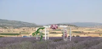 Burdur'da Lavanta Hasat ve Sanat Günleri Renkli Etkinliklerle Tamamlandı