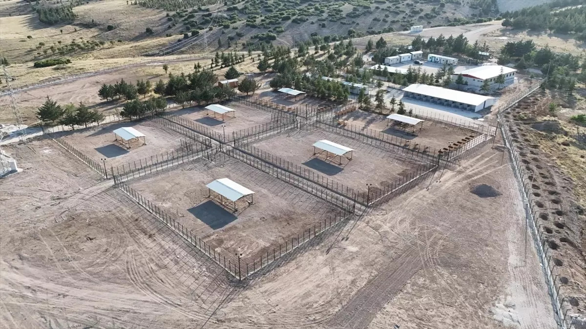 Burdur'da Sahipsiz Hayvanlar İçin Rehabilitasyon ve Bakımevi Açıldı