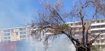 Burhaniye'de Otluk Alanda Yangın Kontrol Altına Alındı