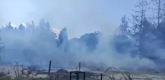 Burhaniye'de Otluk Alanda Yangın Kontrol Altına Alındı