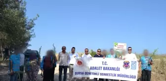 Bursa'da 15 Temmuz şehitleri anısına fidan dikildi