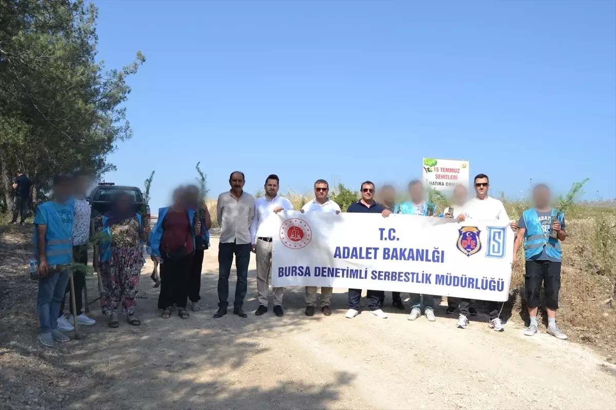 Bursa'da 15 Temmuz şehitleri anısına fidan dikildi