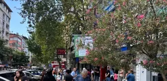Bursa'nın Gemlik İlçesinde 4,3 Büyüklüğünde Deprem