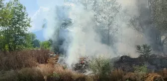 İnegöl'deki Yangın Kontrol Altına Alındı
