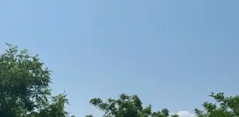 Anadolu Sanatdolu Köy Şenliği Gümüşpınar'da Gerçekleşti