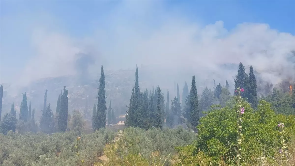 Bursa'da Tarım Alanında Başlayan Yangın Ormana Sıçradı
