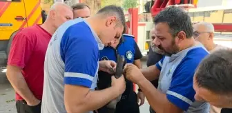 İnegöl'de İtfaiye Ekipleri Mahsur Kalan Kargayı Kurtardı