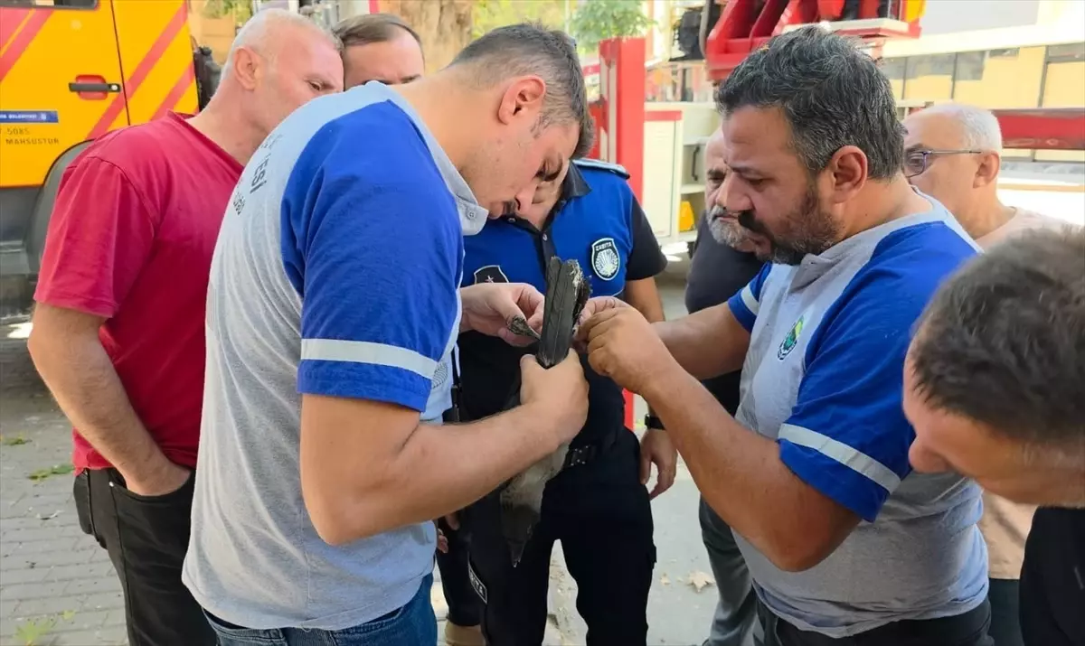 İnegöl'de İtfaiye Ekipleri Mahsur Kalan Kargayı Kurtardı
