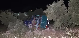 Bursa'da Zeytinliğe Devrilen Kamyonun Sürücüsü Yaralandı
