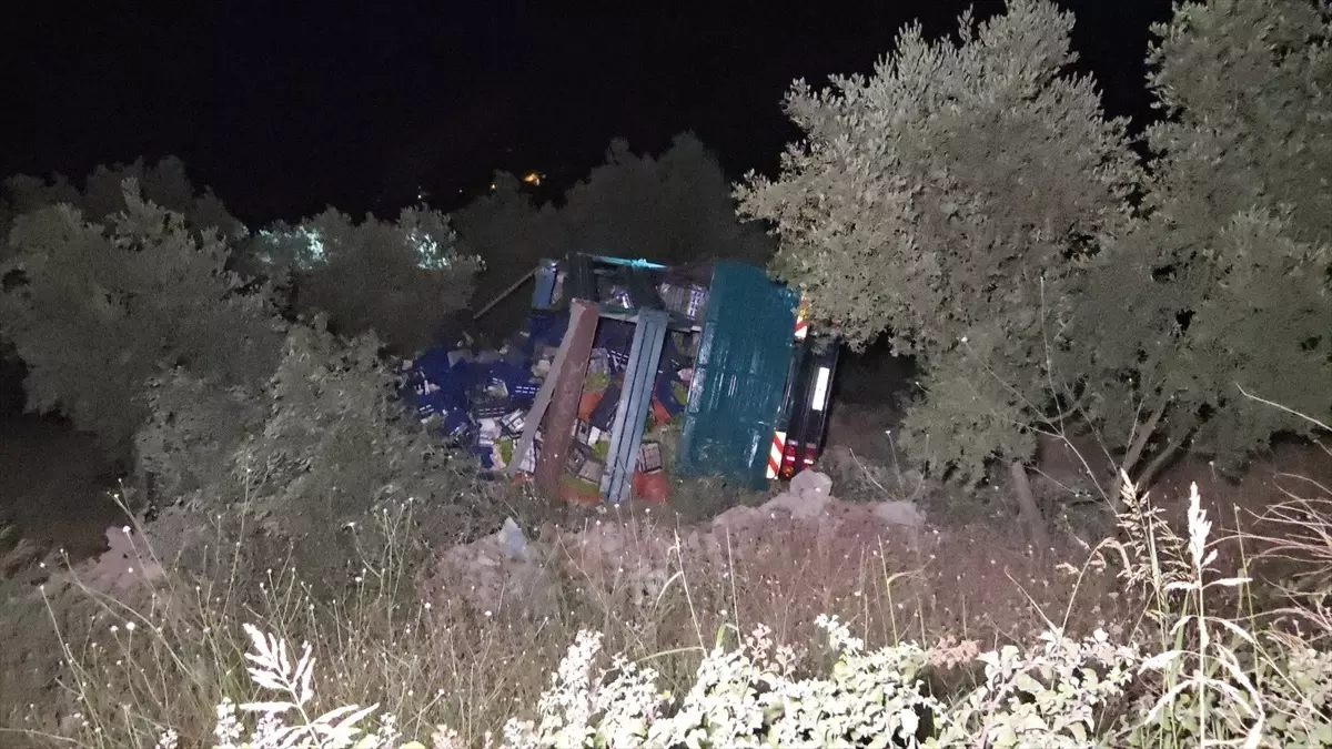 Bursa'da Zeytinliğe Devrilen Kamyonun Sürücüsü Yaralandı
