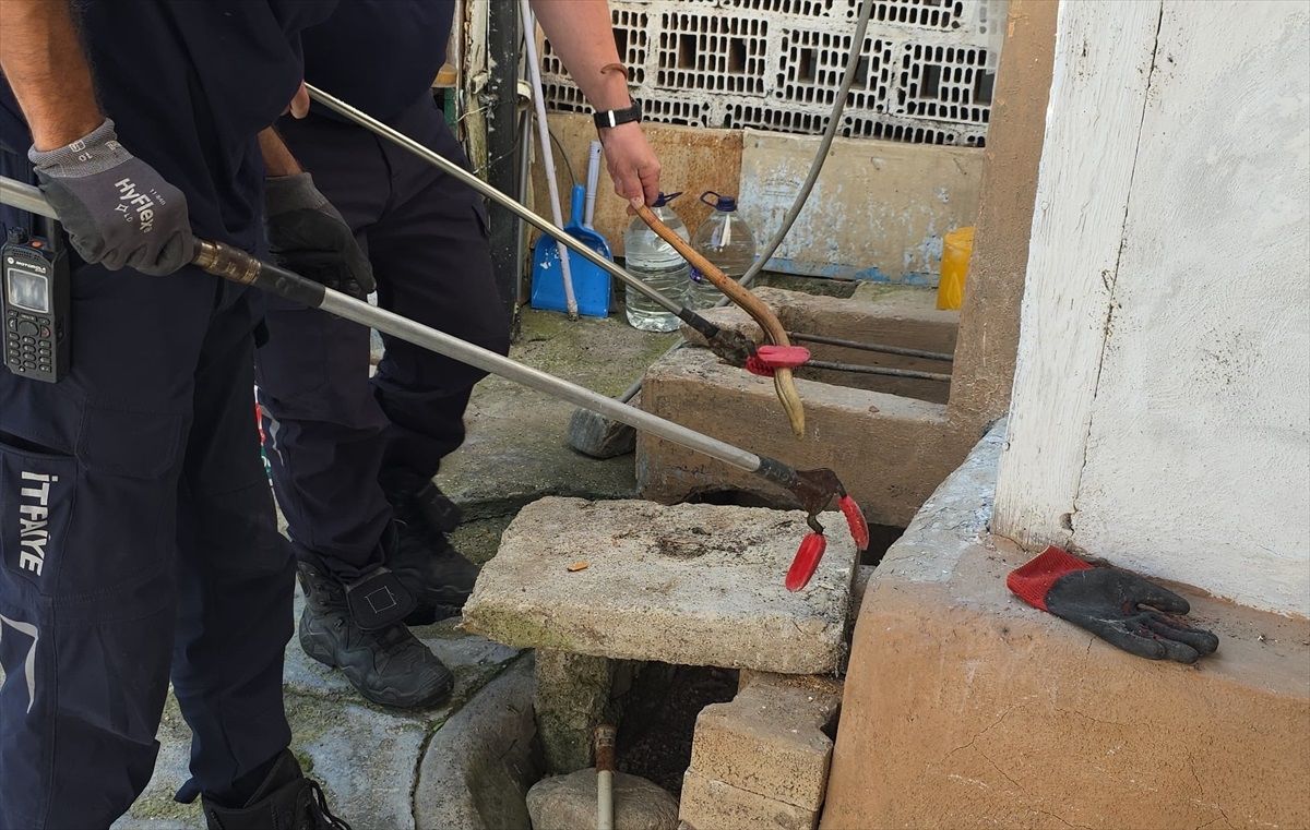 İnegöl'de Evin Bahçesinde Bulunan Oluklu Kertenkele Doğaya Salındı