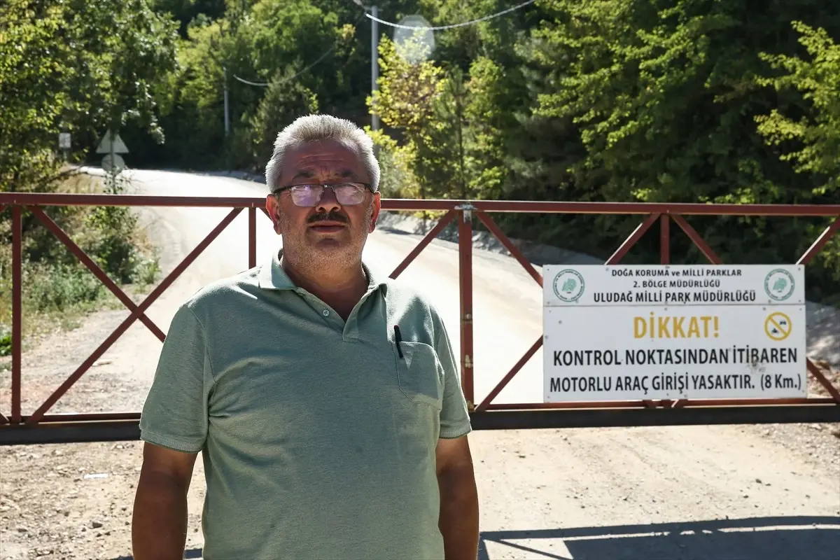 Kestel'e Orman Girişi Kontrolü İçin Bariyer Uygulaması