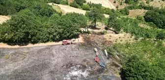Bursa'da Tarlada Yangın: İtfaiye Ekipleri Zamanında Müdahale ile Kontrol Altına Aldı