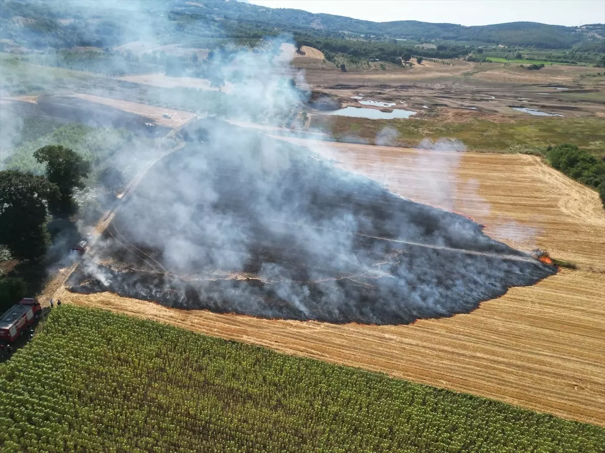 Bursa'nın Kestel İlçesinde Anız Yangını