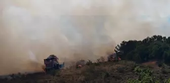 Bursa'da Anız Yangını Ormana Sıçradı, Ekipler Müdahalede Bulundu