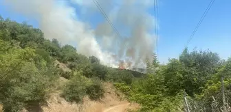 Bursa'nın Yenişehir ilçesinde Orman Yangını Kontrol Altına Alınmaya Çalışılıyor