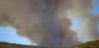 Bursa Yenişehir'de Orman Yangınına Hava ve Karadan Müdahale