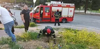 İnegöl'de İtfaiye Ekipleri Kuzu Kurtardı