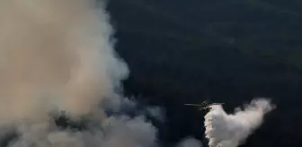 Bursa'da Orman Yangınına Havadan ve Karadan Müdahele Devam Ediyor