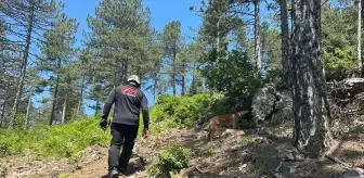 Bursa'da Kayıp Çocuk İçin Arama Çalışmaları Devam Ediyor