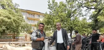 Orhaneli'de Kurban Bayramı Öncesi Hayvan Pazarı Ziyareti