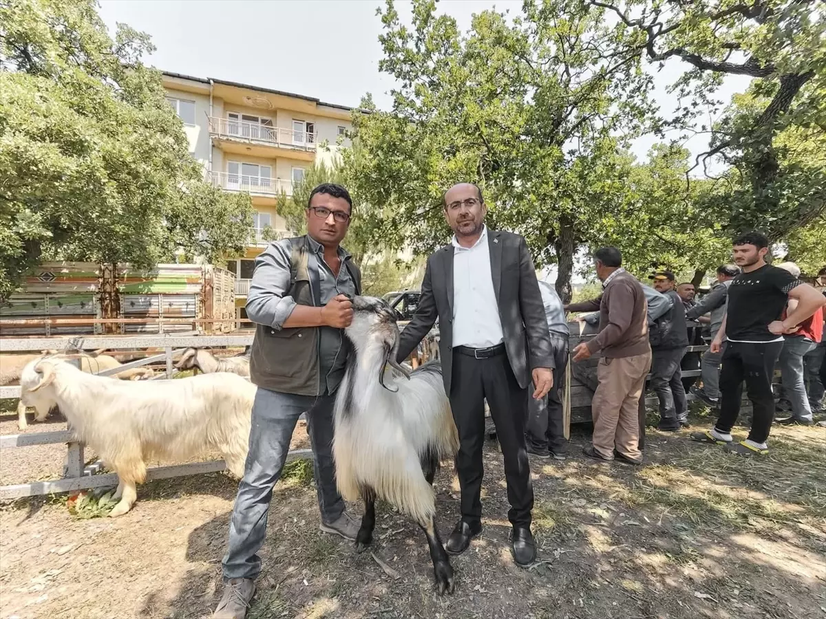 Orhaneli'de Kurban Bayramı Öncesi Hayvan Pazarı Ziyareti