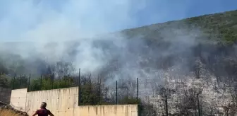 Bursa'da Makilik Alanda Yangın Kontrol Altına Alındı