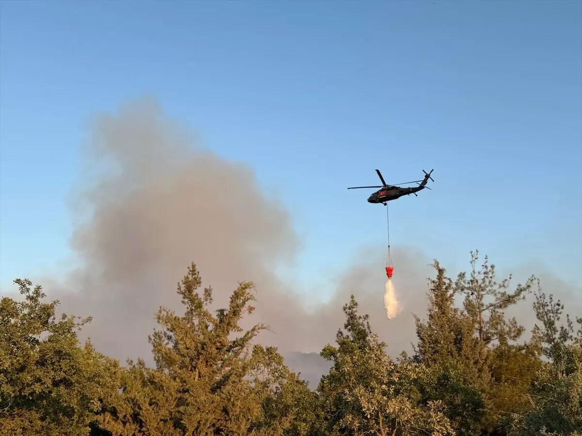 Bursa'da Orman Yangınına Havadan ve Karadan Müdahale