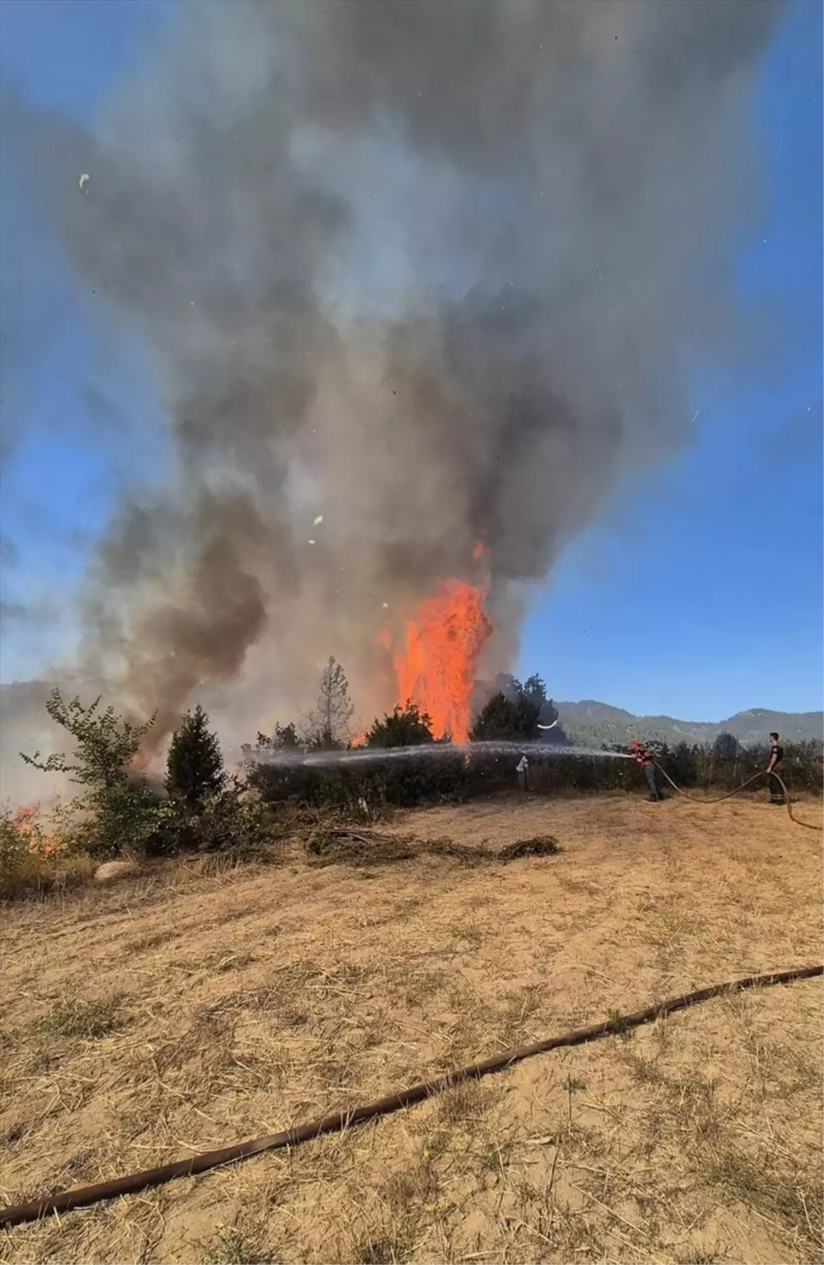 Bursa Orhaneli'de Orman Yangınına Havadan ve Karadan Müdahale