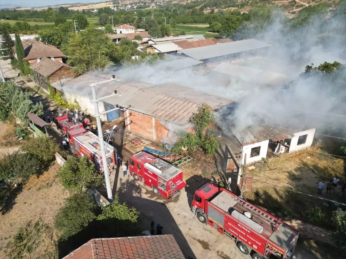 İnegöl'de Samanlık Yangını: Kış İçin Depolanan Balyalar Kül Oldu