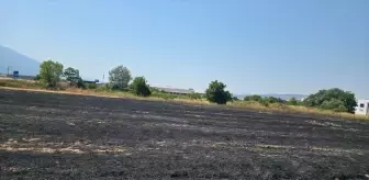 Bursa'da Tarlada Yangın: İtfaiye Ekipleri Müdahale Etti