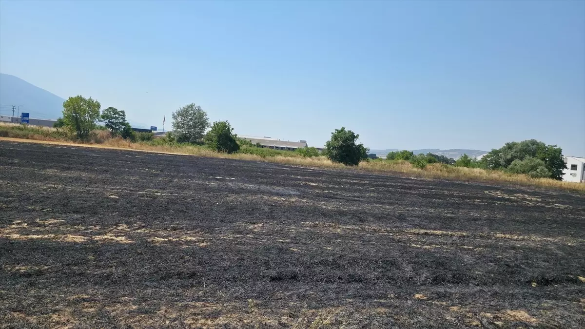 Bursa'da Tarlada Yangın: İtfaiye Ekipleri Müdahale Etti