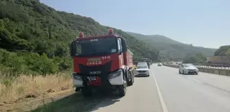 Gemlik'te Zeytinlikte Yangın Çıktı